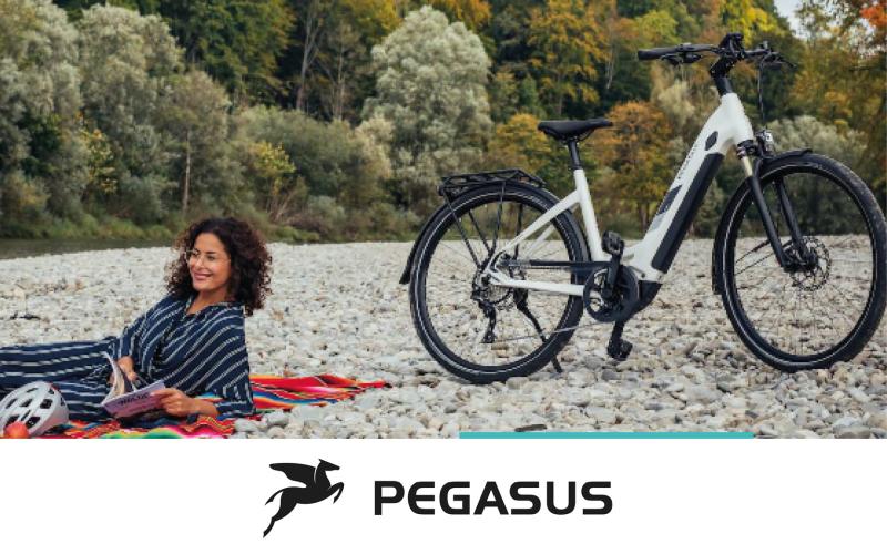 Pegasus